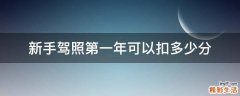 新手驾照第一年可以扣多少分