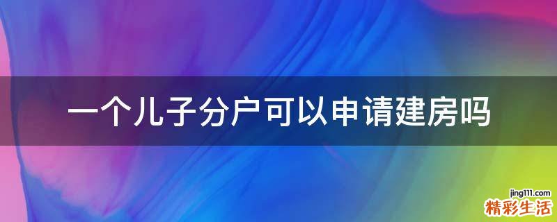 一个儿子分户可以申请建房吗