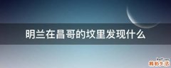 明兰在昌哥的坟里发现什么