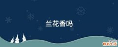 兰花香吗