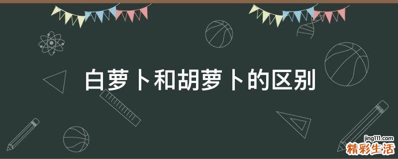 白萝卜和胡萝卜的区别