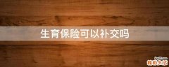 生育保险可以补交吗