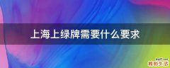 上海上绿牌需要什么要求