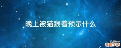 晚上被猫跟着预示什么