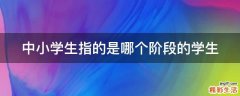 中小学生指的是哪个阶段的学生