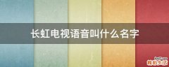 长虹电视语音叫什么名字