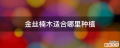 金丝楠木适合哪里种植