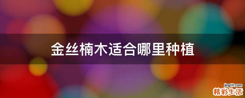 金丝楠木适合哪里种植