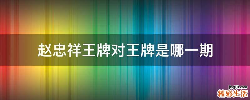 赵忠祥王牌对王牌是哪一期