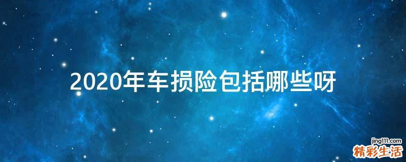 2020年车损险包括哪些呀