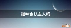 猫咪会认主人吗