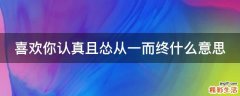 喜欢你认真且怂从一而终什么意思