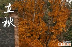 今日立秋具体时间早晨还是下午,2023年立秋是早是晚