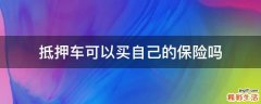 抵押车可以买自己的保险吗