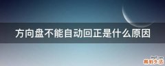 方向盘不能自动回正是什么原因