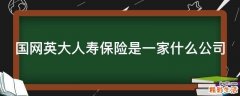 国网英大人寿保险是一家什么公司