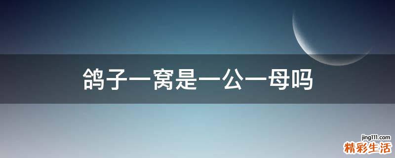 鸽子一窝是一公一母吗