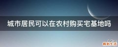城市居民可以在农村购买宅基地吗