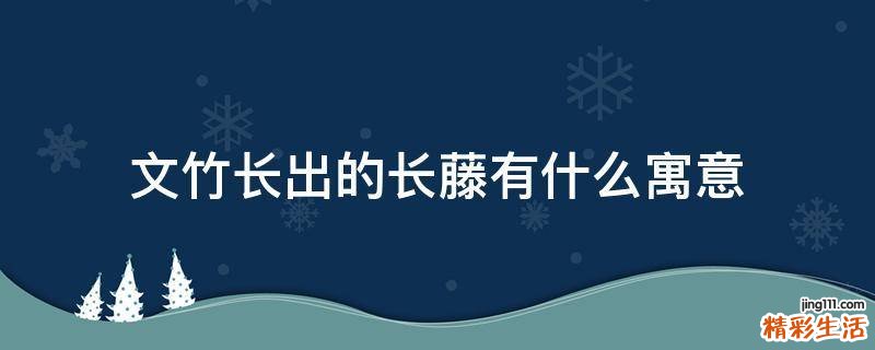 文竹长出的长藤有什么寓意