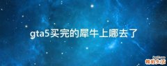 gta5买完的犀牛上哪去了