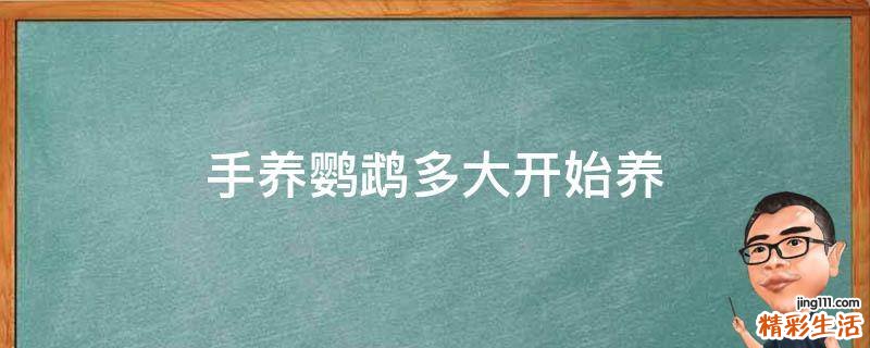 手养鹦鹉多大开始养