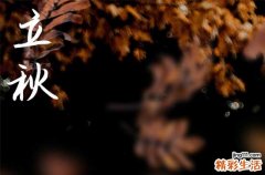 满阶梧桐月明中和寒樱枝白是狂花哪句诗描写的立秋时节的景象
