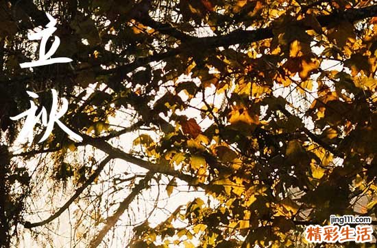 立秋时节古代梧桐报秋的习俗与哪个成语有关