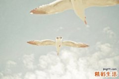 暗疮是怎么引起的_引发暗疮的原因是什么