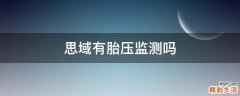 思域有胎压监测吗