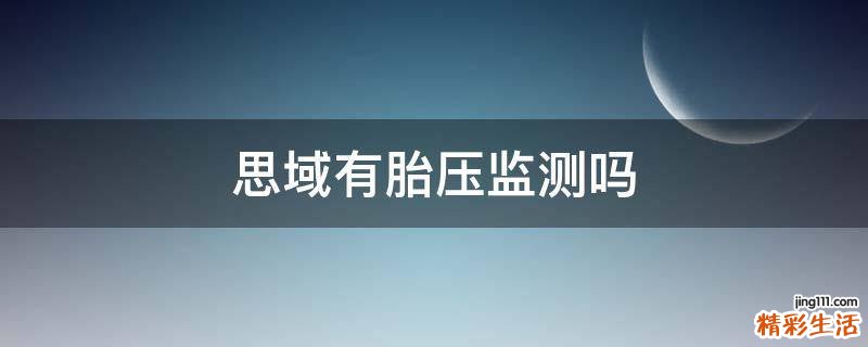 思域有胎压监测吗