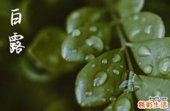 白露节气要吃哪六种