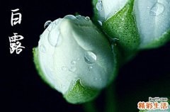 白露节气有多少天 白露是什么意思呢