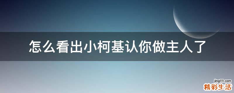 怎么看出小柯基认你做主人了