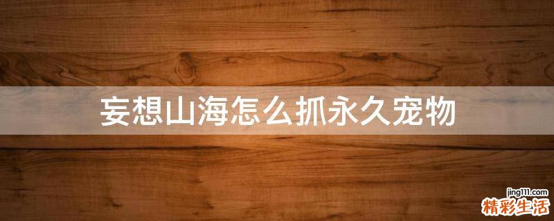 妄想山海怎么抓永久宠物