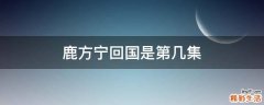 鹿方宁回国是第几集