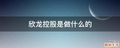 欣龙控股是做什么的
