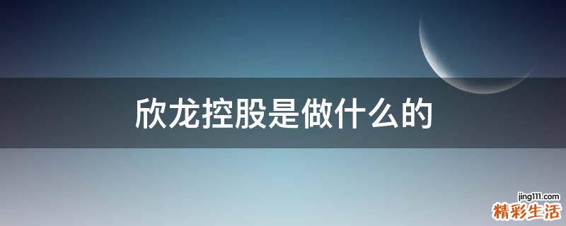 欣龙控股是做什么的