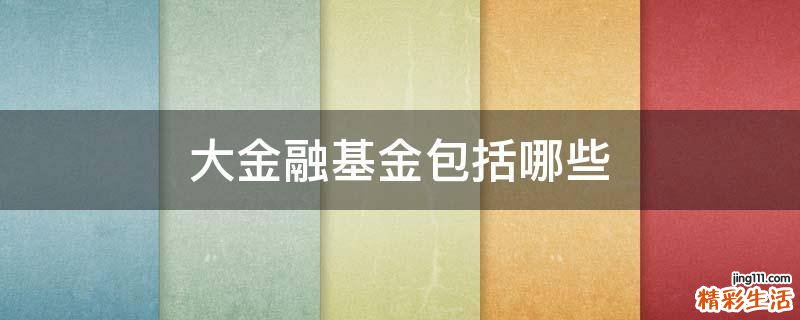 大金融基金包括哪些