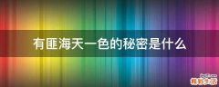 有匪海天一色的秘密是什么