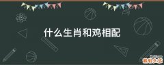 什么生肖和鸡相配