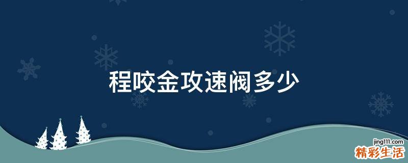 程咬金攻速阀多少