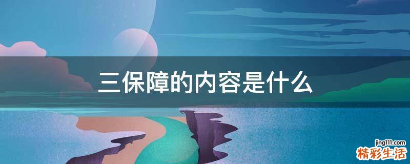 三保障的内容是什么