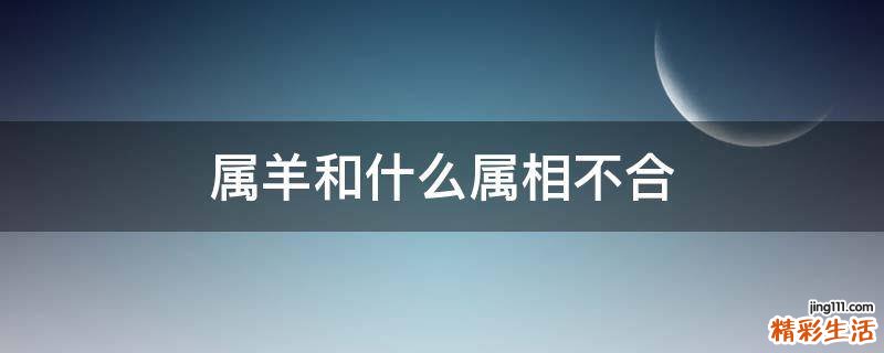 属羊和什么属相不合