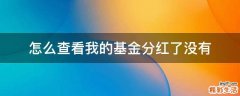 怎么查看我的基金分红了没有