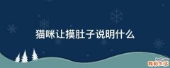 猫咪让摸肚子说明什么