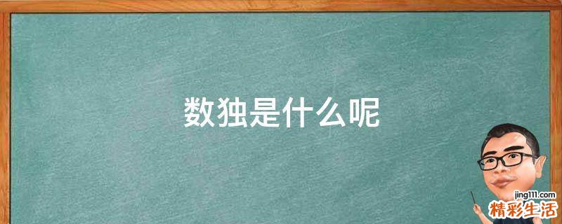 数独是什么呢
