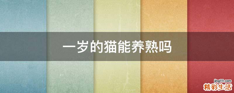 一岁的猫能养熟吗