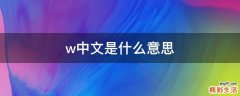 w中文是什么意思