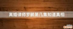 离婚律师罗鹂第几集知道真相