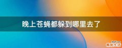 晚上苍蝇都躲到哪里去了